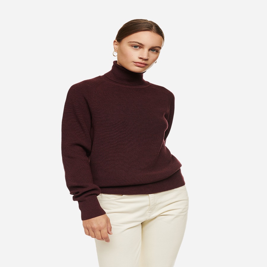 Burgundy Sweater Women